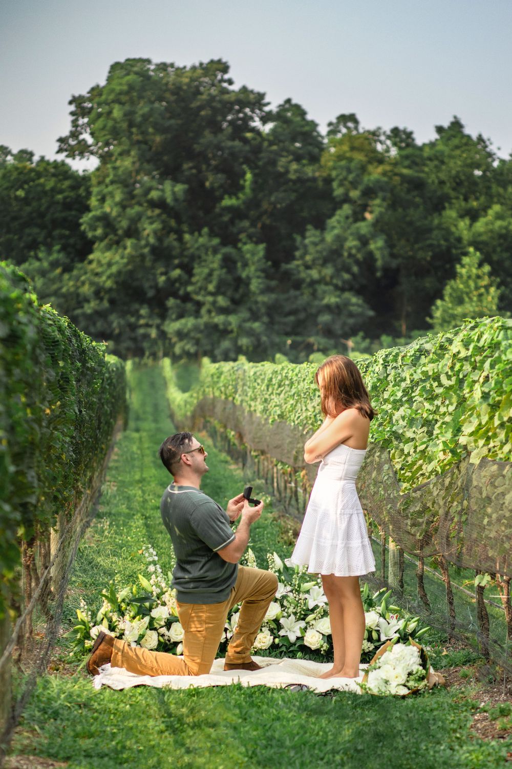 Marriage proposal scene in vineyard with flower petals and picnic setup.