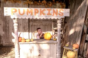 Rustic barn wall with 'Pumpkins' sign and autumn decorations.