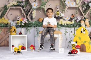 A whimsical garden-themed photo setup with hexagonal shelves, bees, flowers, and ladybugs creating a playful spring atmosphere.