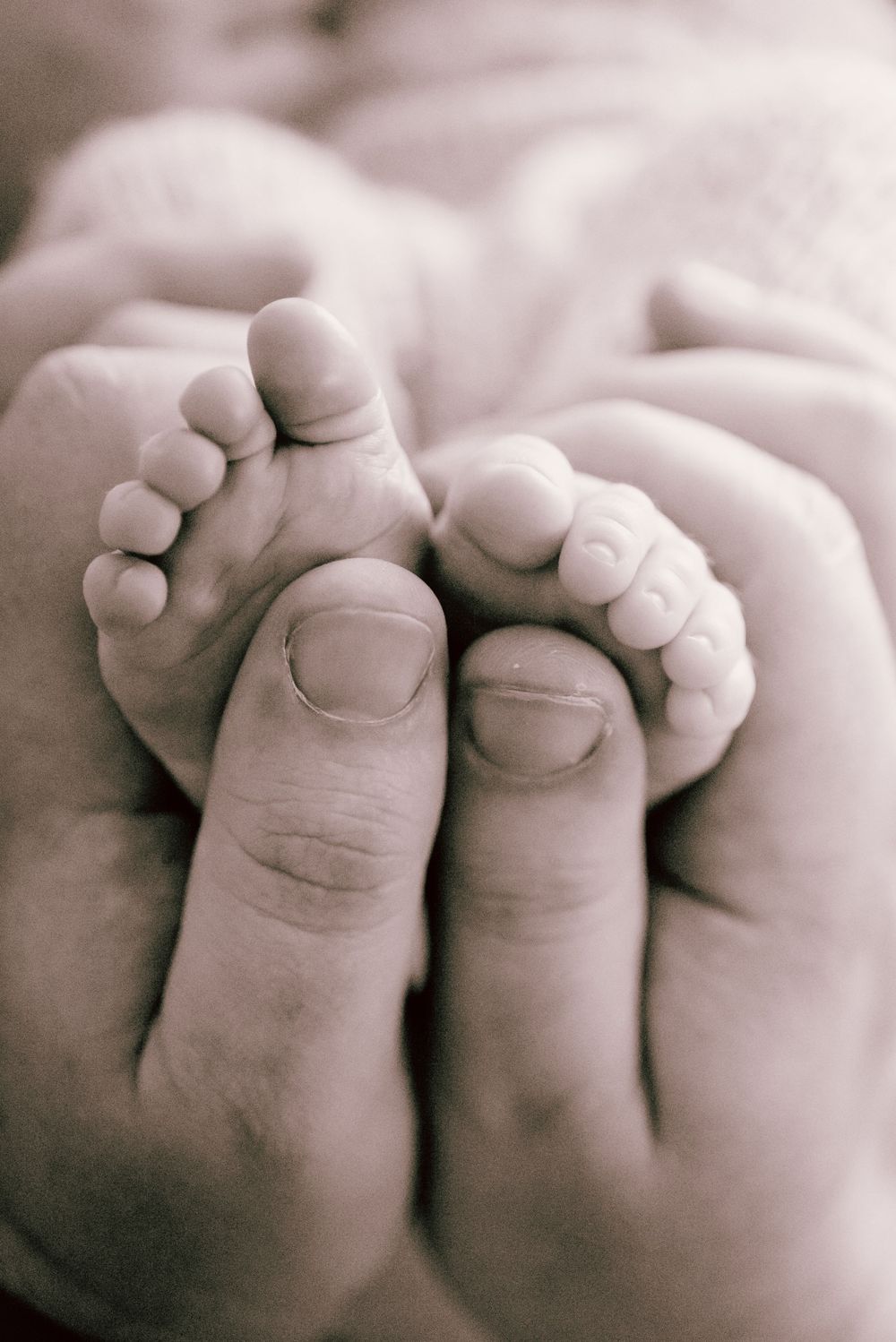 Close up black and white photo of baby's tiny feet being held between adult fingers in tender moment.