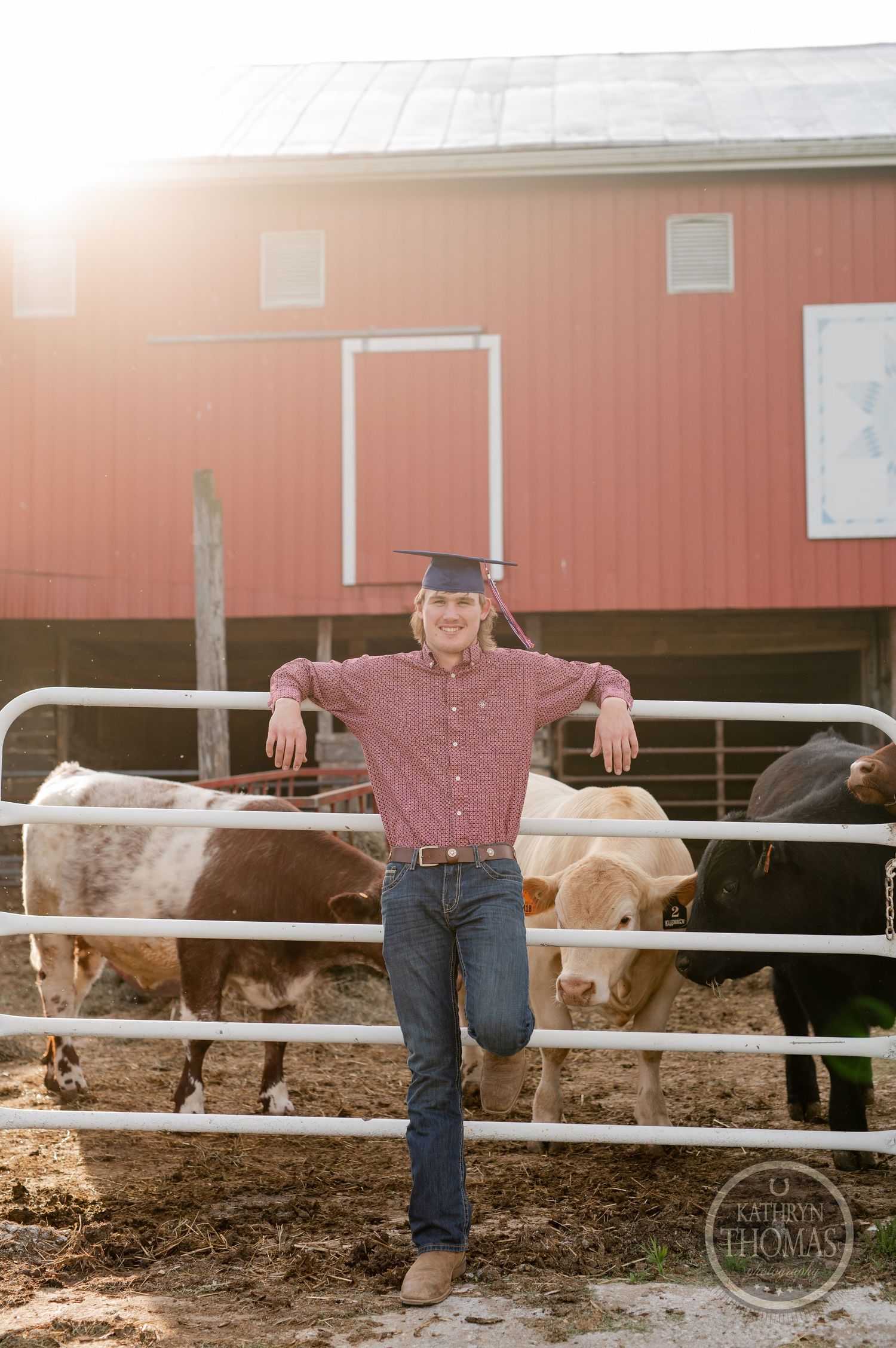 Person in graduation cap leans on farm fence with red barn and cattle in background.