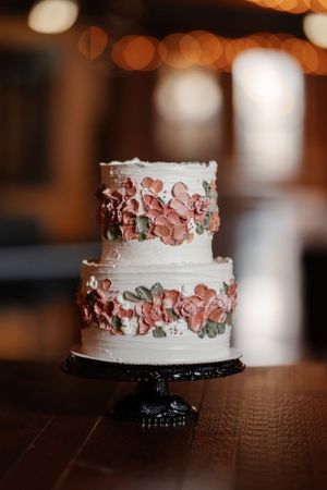 Wedding photography in Chicago suburbs captured by Olena Swoboda Photography LLC