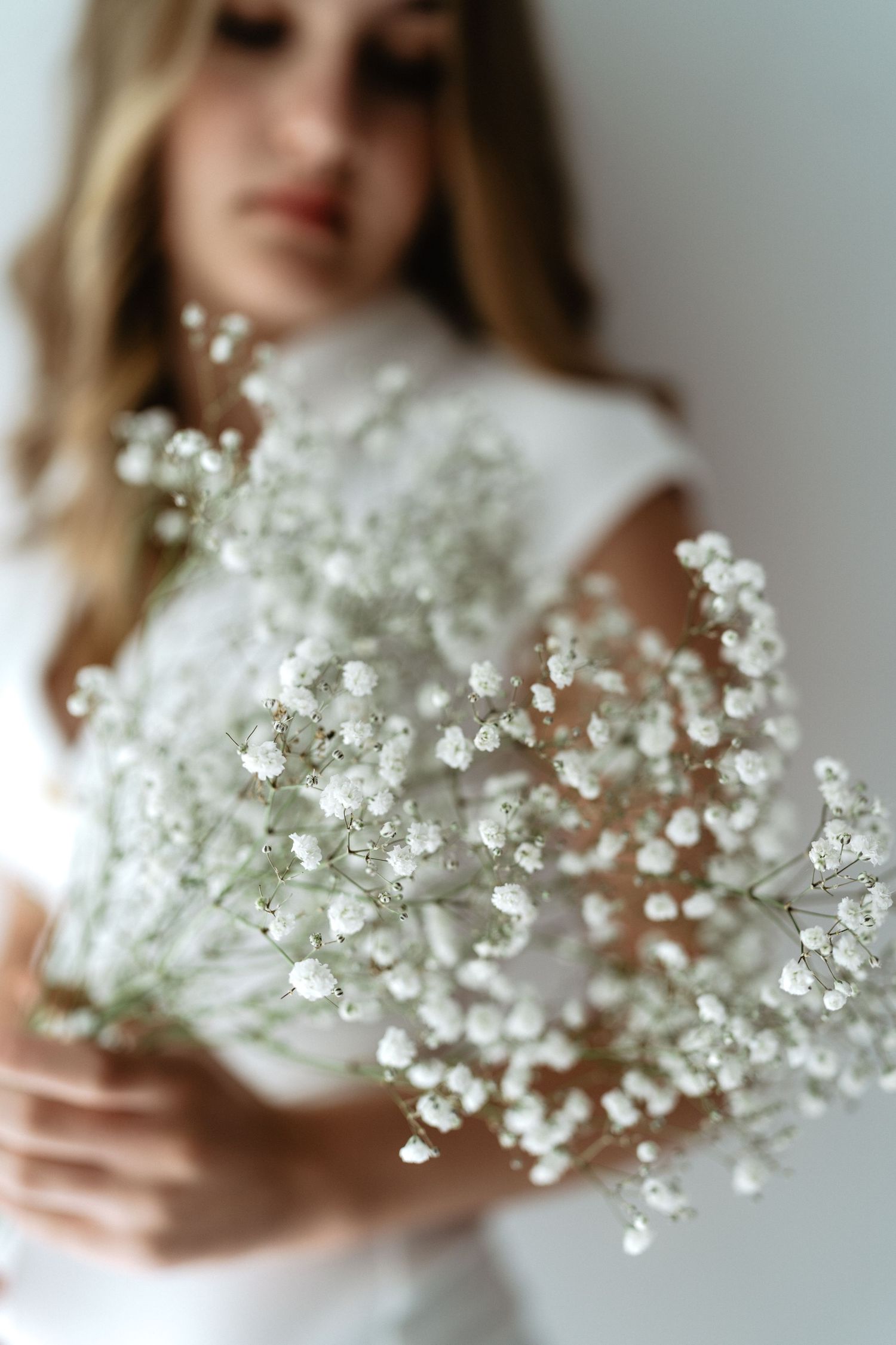 Delicate baby's breath flowers being gently cradled in soft natural light against a white background.