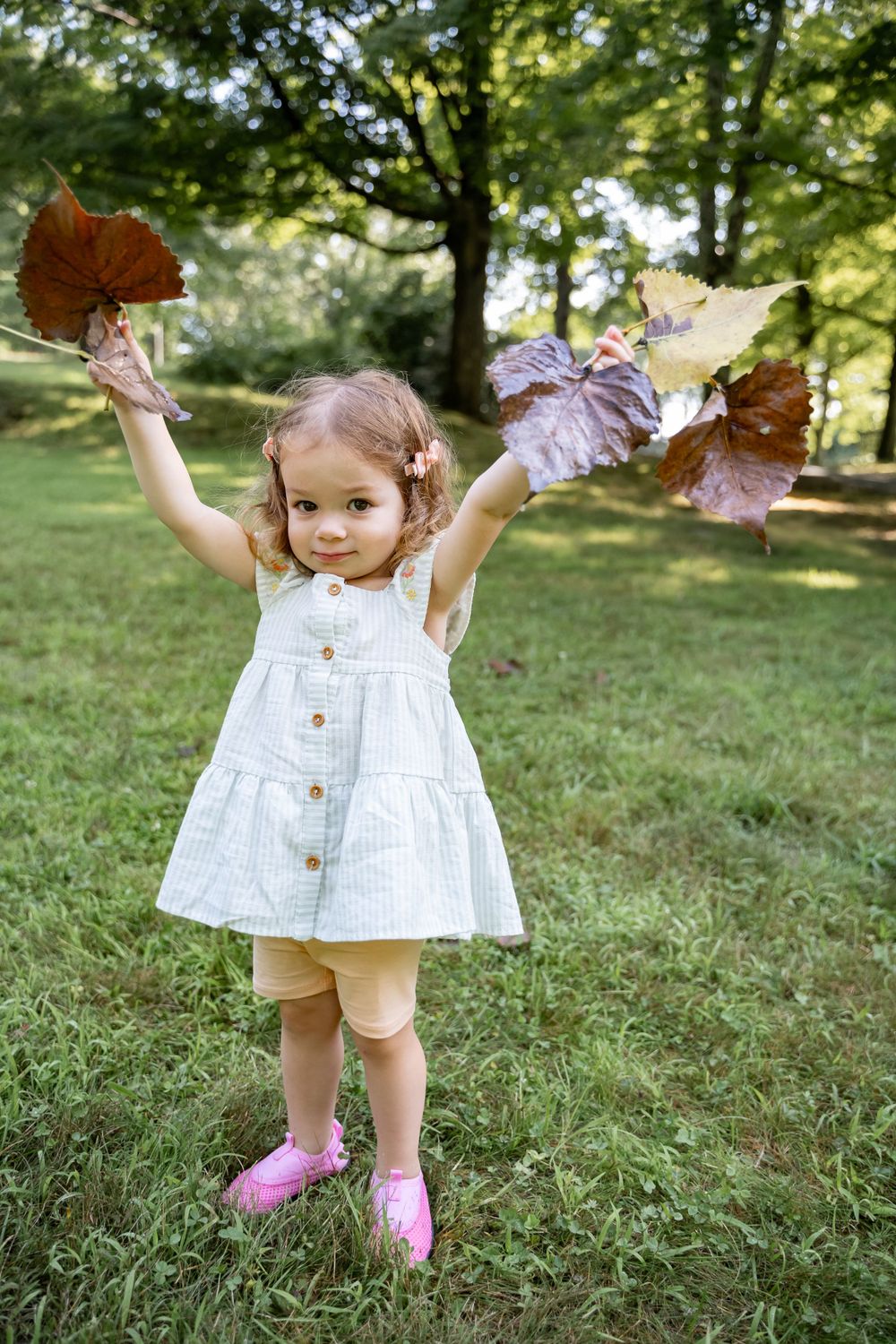 Small child in white dress holding autumn leaves up in outdoor setting.