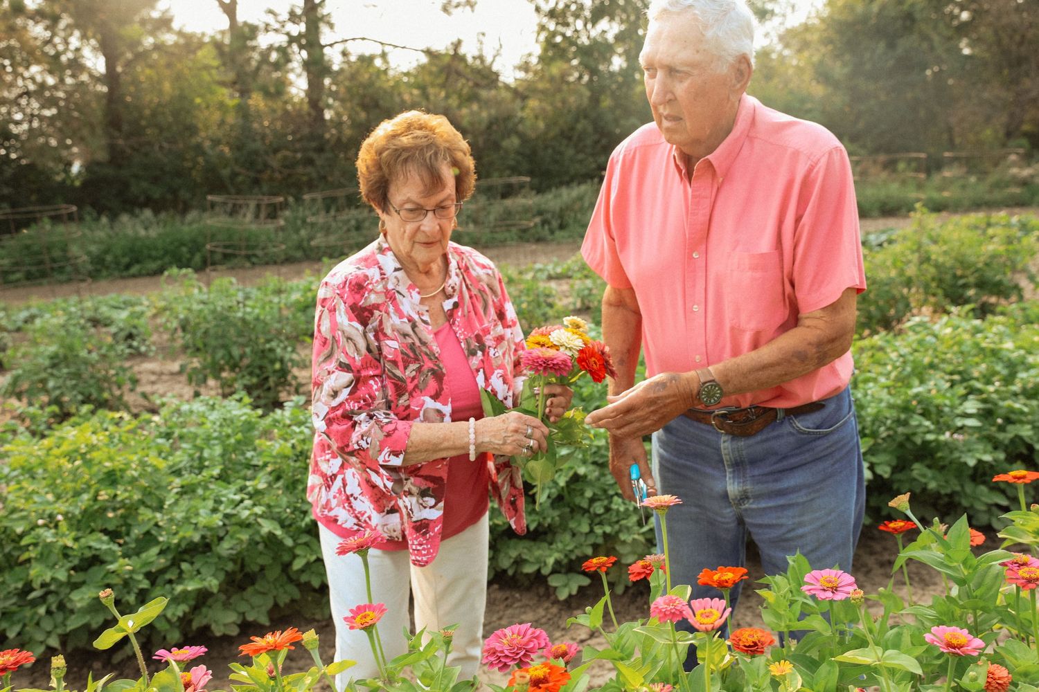 Seniors picking fresh vegetables together in community garden.