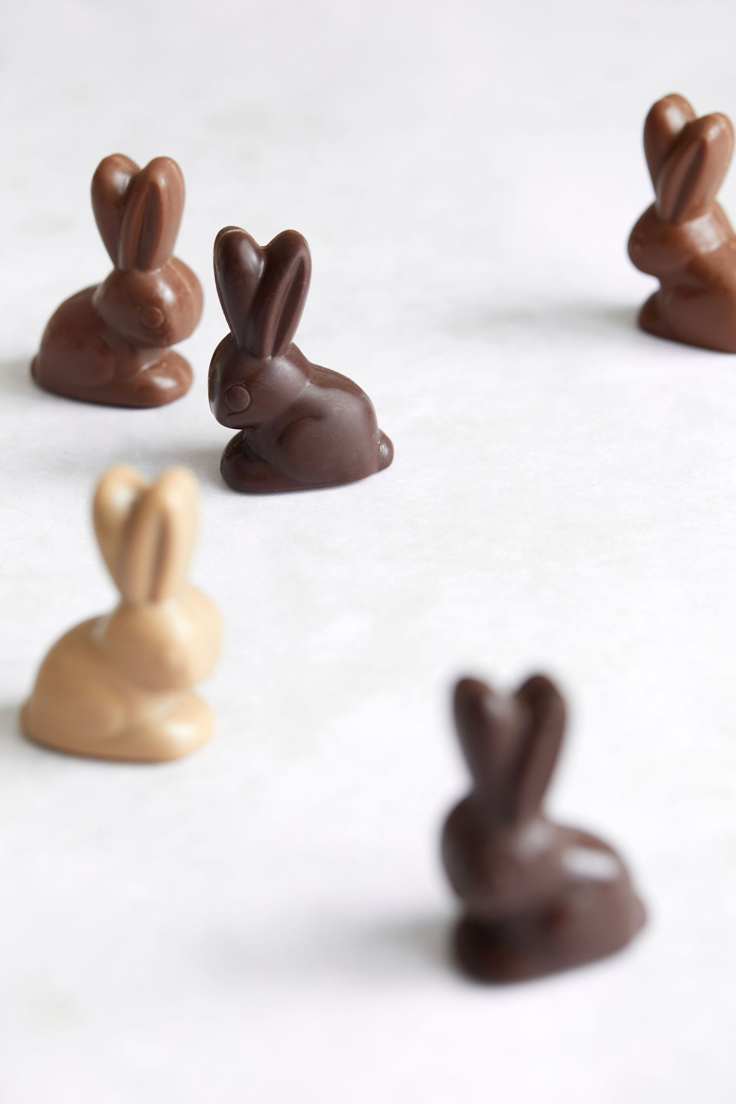Dark and white chocolate Easter bunnies arranged on a white surface.