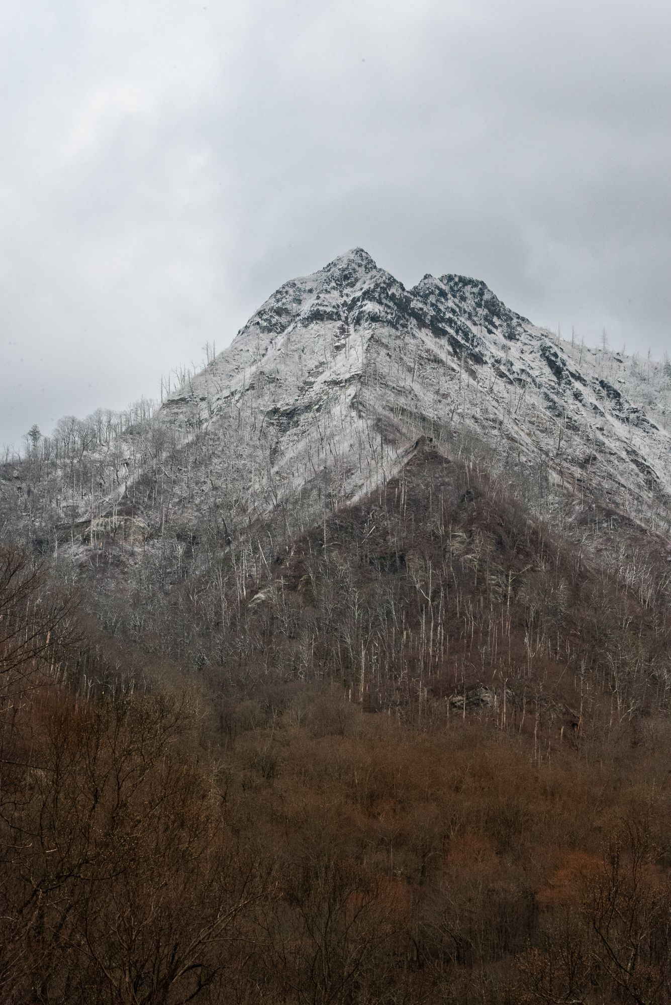 A snow-capped mountain peak rises above bare winter trees under cloudy skies in this landscape photo in Great Smoky Mountains National Park