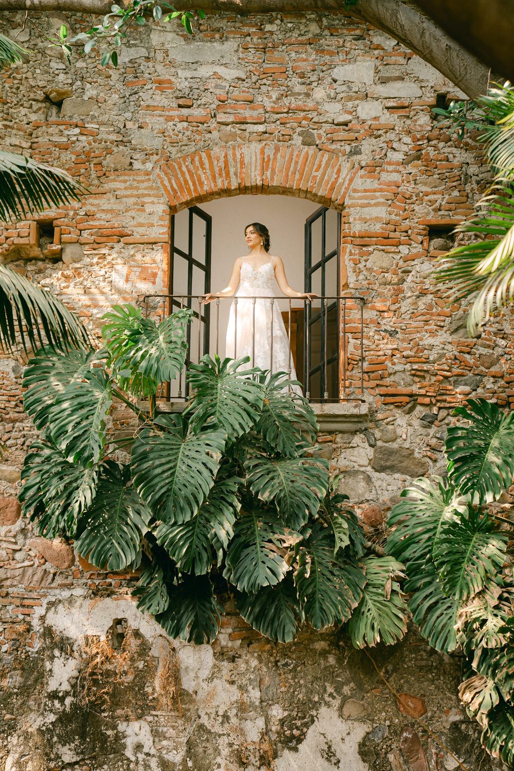 An arched window in a weathered brick wall surrounded by tropical monstera leaves creates an elegant frame.