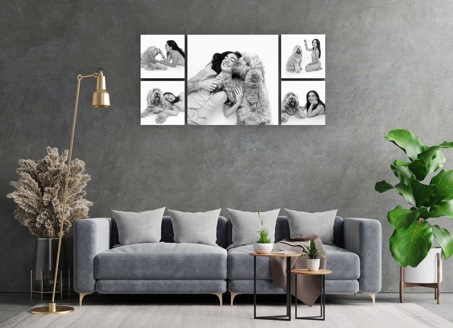 Modern living room with grey sofa, brass floor lamp, and black and white art collection displayed on concrete wall of a woman and her dog