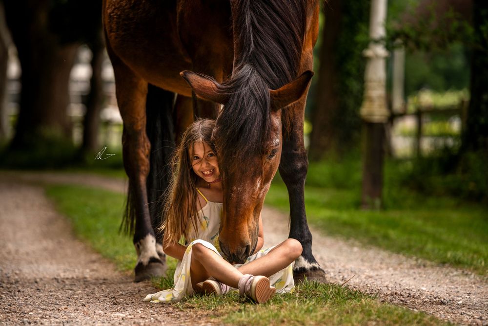 A brown horse with multiple riders sharing intimate moments along a tree-lined gravel path.