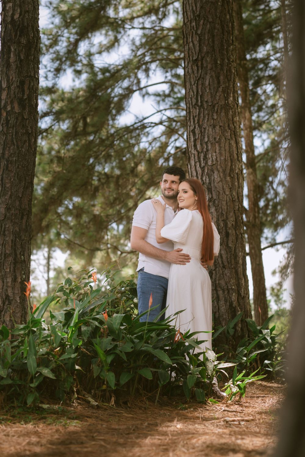 A couple embracing in a pine forest with flowering plants at their feet.