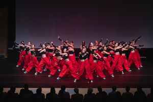 Large dance ensemble performing synchronized routine in red costumes on stage.