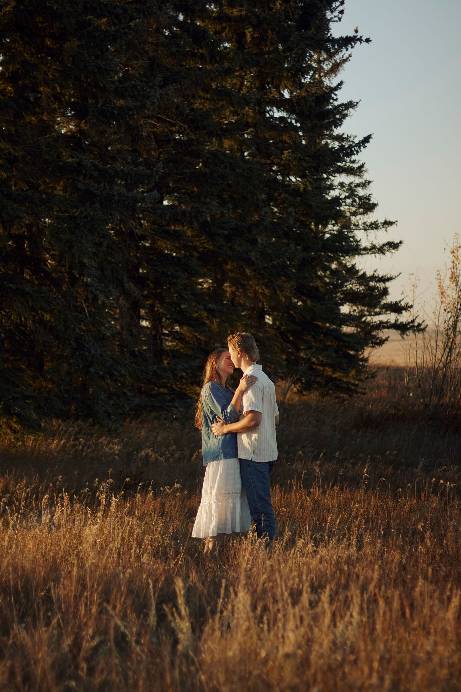 Couple photoshoot outdoors in a filed with tall yellow grass at sunset with soft lighting.