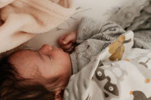 Close-up of soft gray and peach baby bedding with animal print pattern.