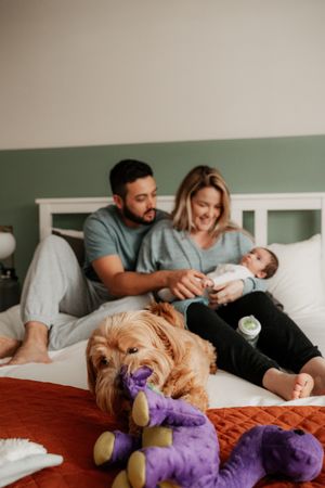 Family relaxing on bed with baby and golden retriever dog playing with purple plush toy.