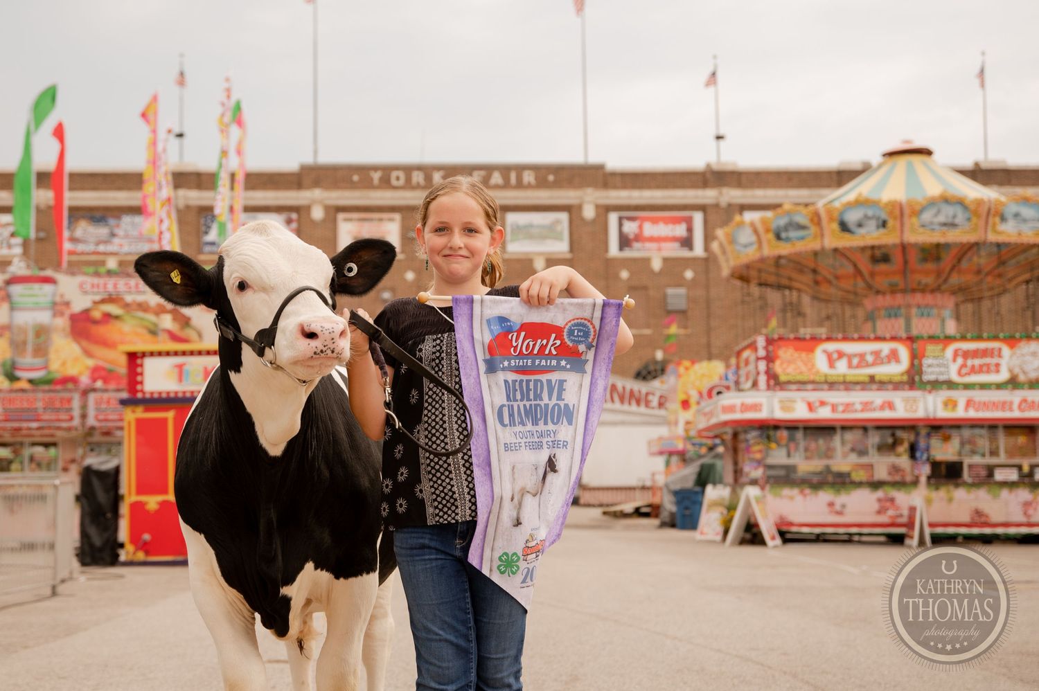 A Holstein dairy cow poses with award ribbons at a county fair.