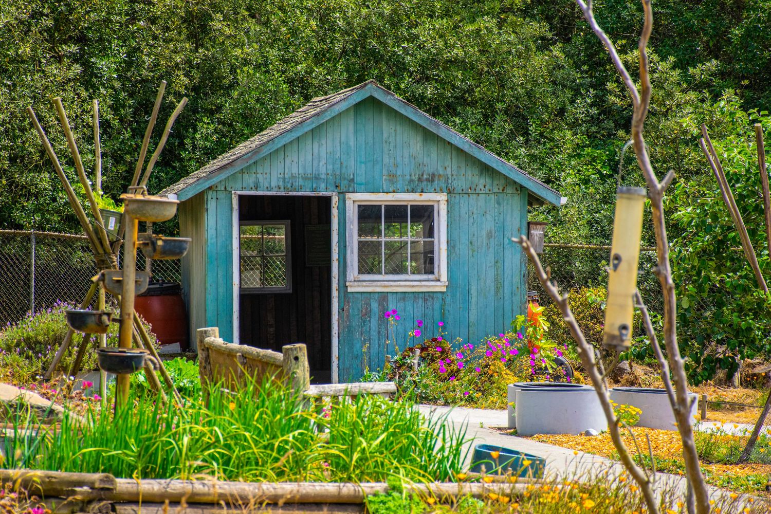 Blue garden shed with white window trim surrounded by colorful flowers and greenery.