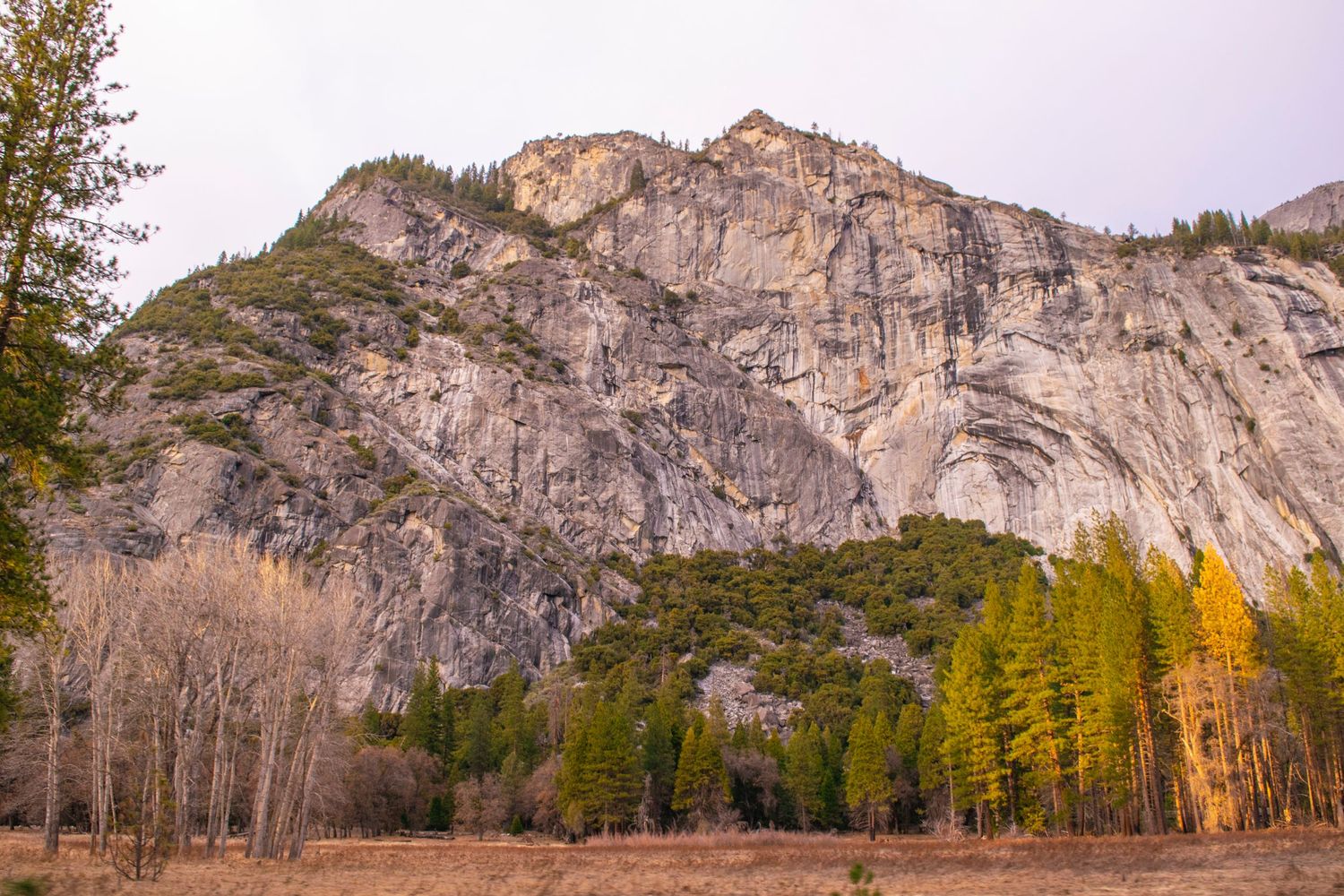 Towering granite mountain peaks rise above pine forest in morning light.
