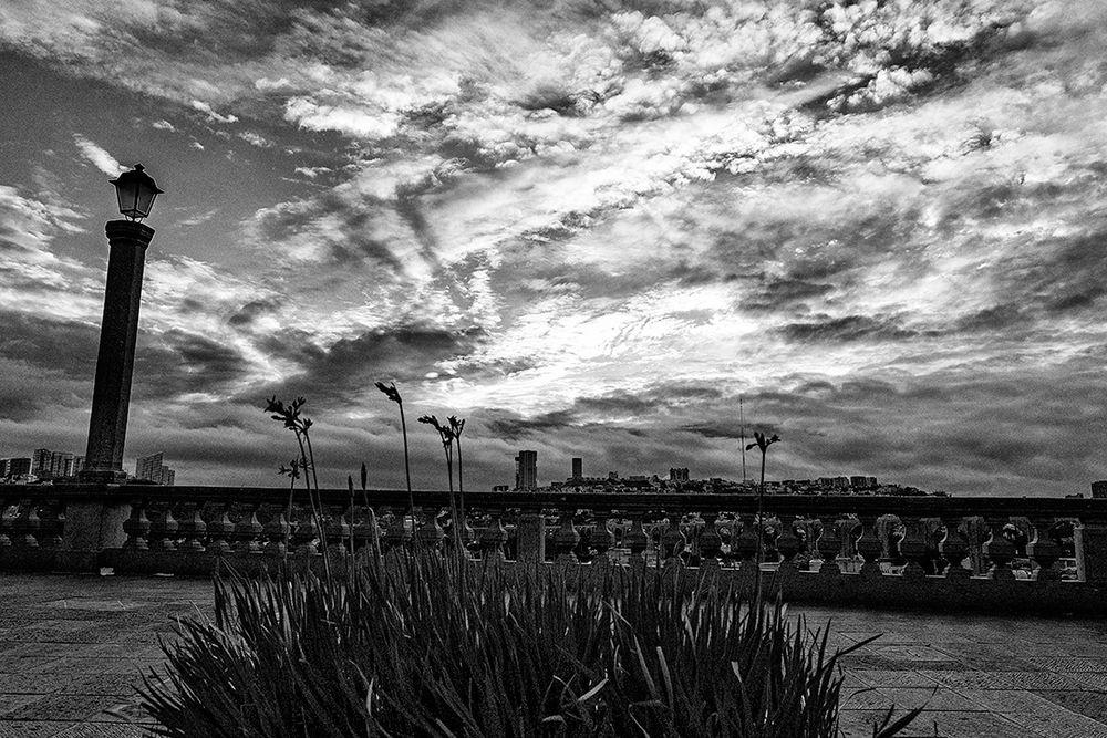 Luces y Contraluces