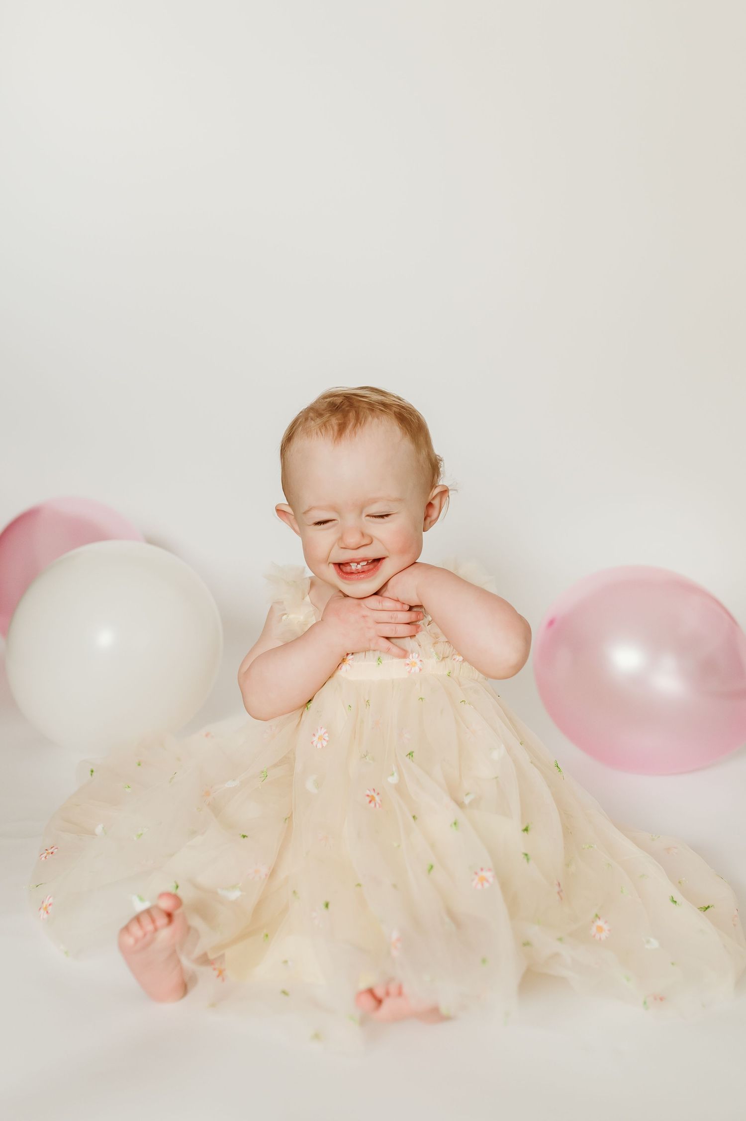 milestone first birthday session