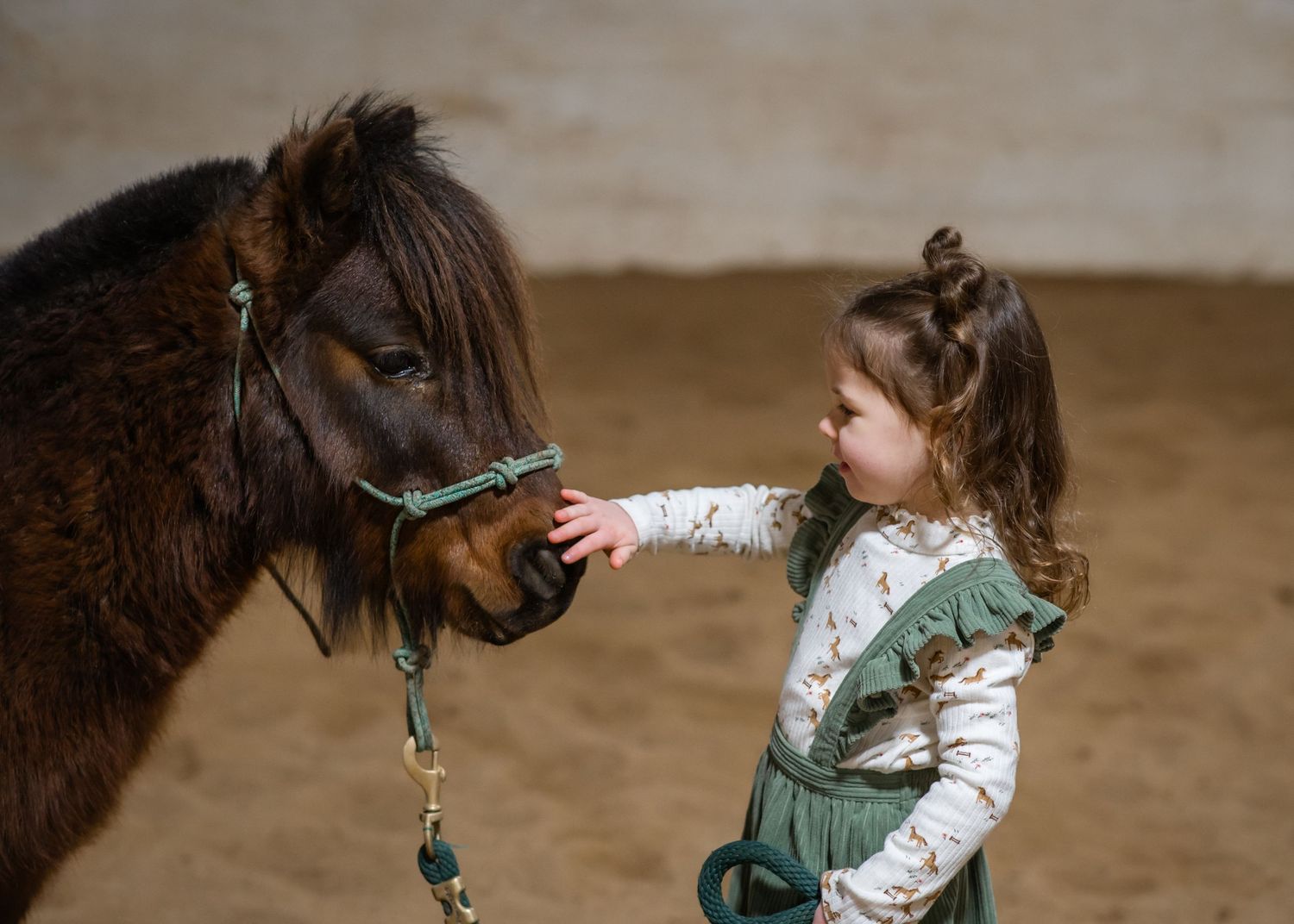 A child in striped socks reaches out to pet a small brown pony's nose.