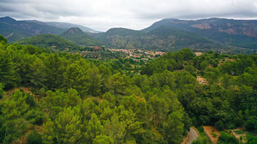 Panoramic view of mountains and valleys covered in green forest under cloudy skies.