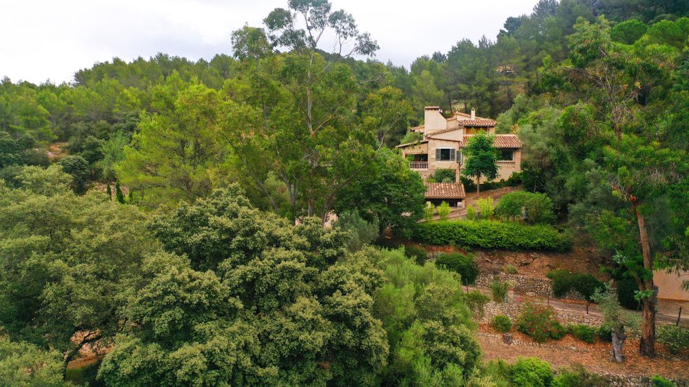 Luxury hillside villa nestled among pine trees in a Mediterranean mountain setting.