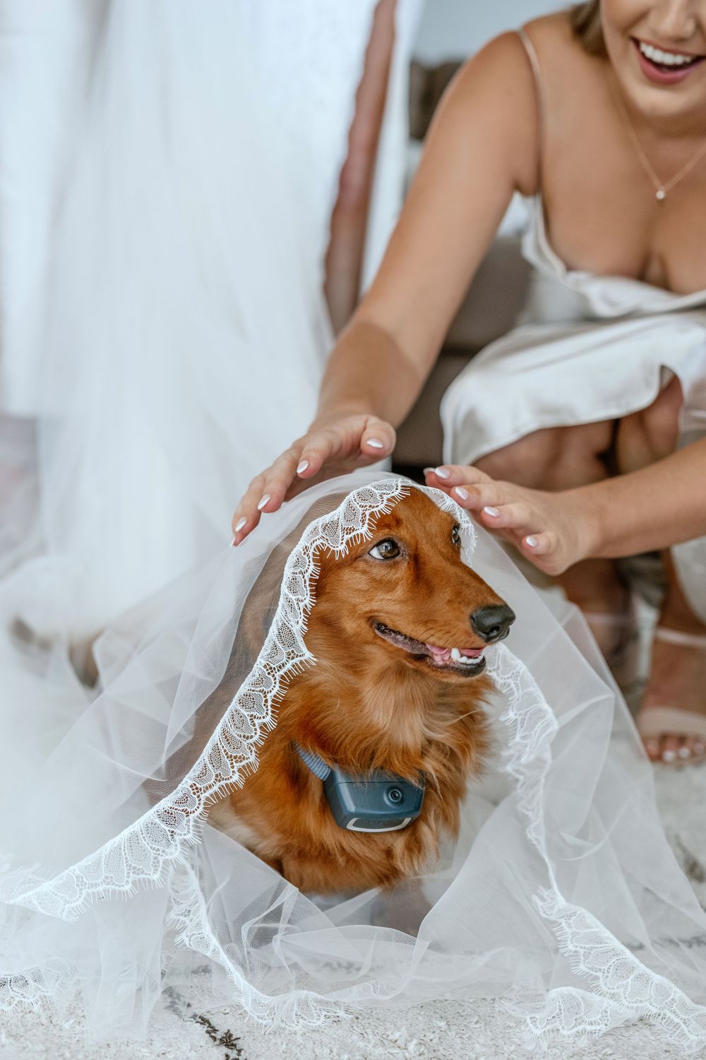 Dreamlife Wedding Photography Sydney photographs a beautiful wedding at Orso Bayside in NSW, Australia