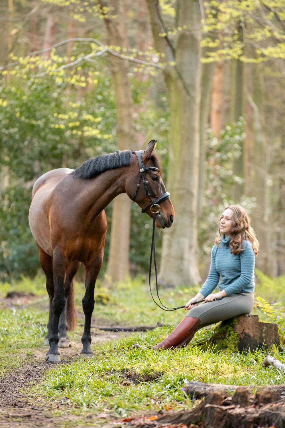 Beautiful bay horse and companion sharing a quiet moment in wooded setting.