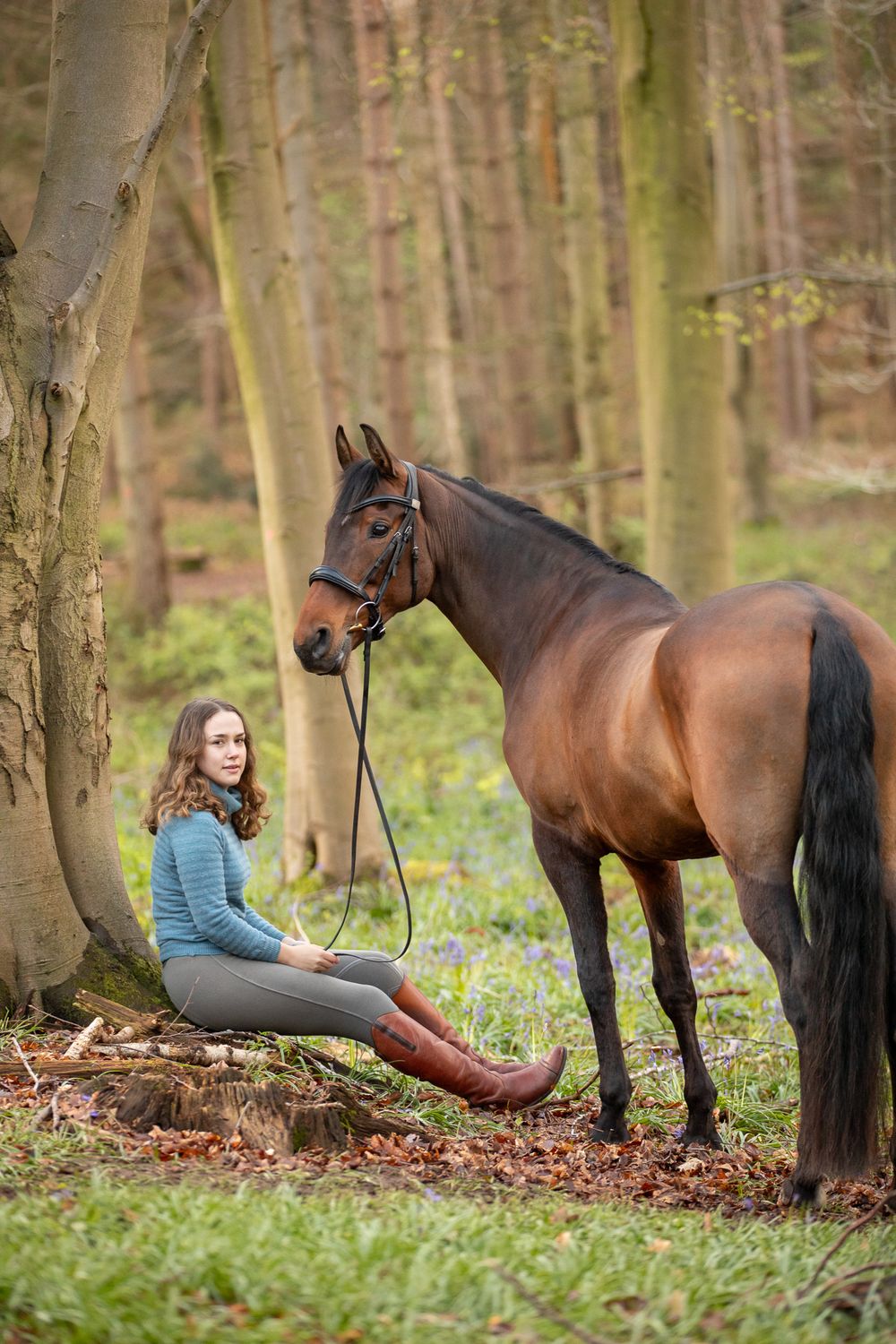 A brown horse and rider resting in a peaceful forest setting with sunlit trees in the background.