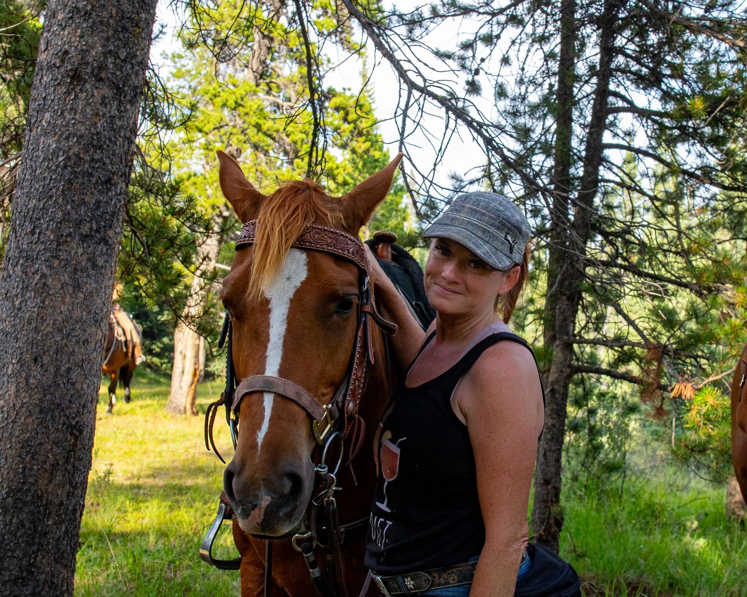 A brown horse with white facial markings wears a leather bridle and stands among tall pine trees.