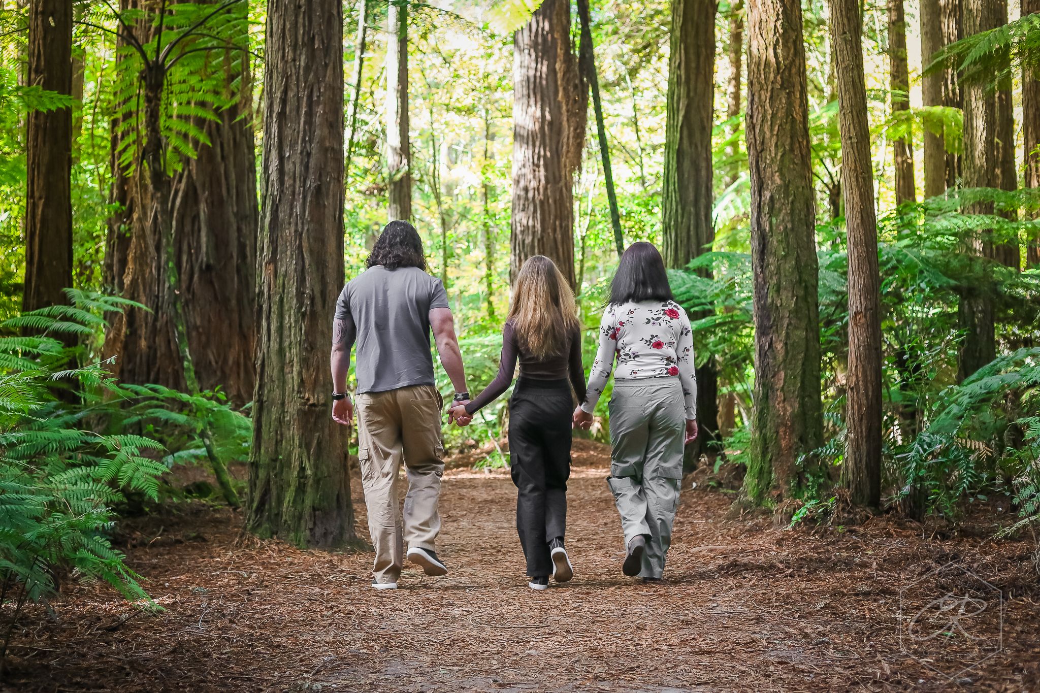 family photography in redwoods forest