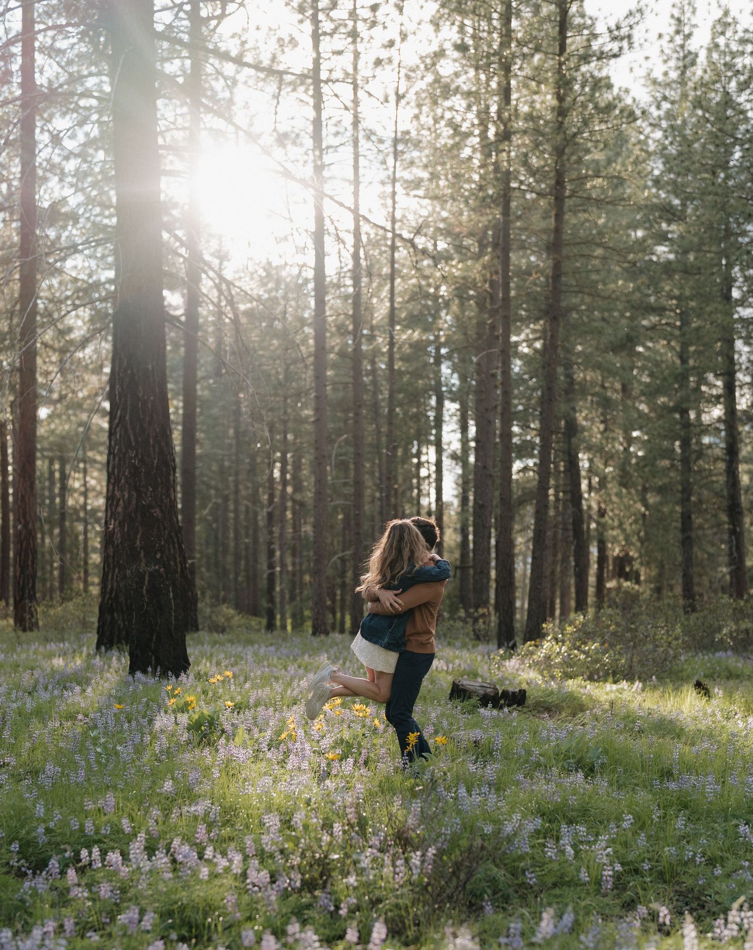 Couple embracing in a sunlit forest clearing with wildflowers blooming among tall pine trees.