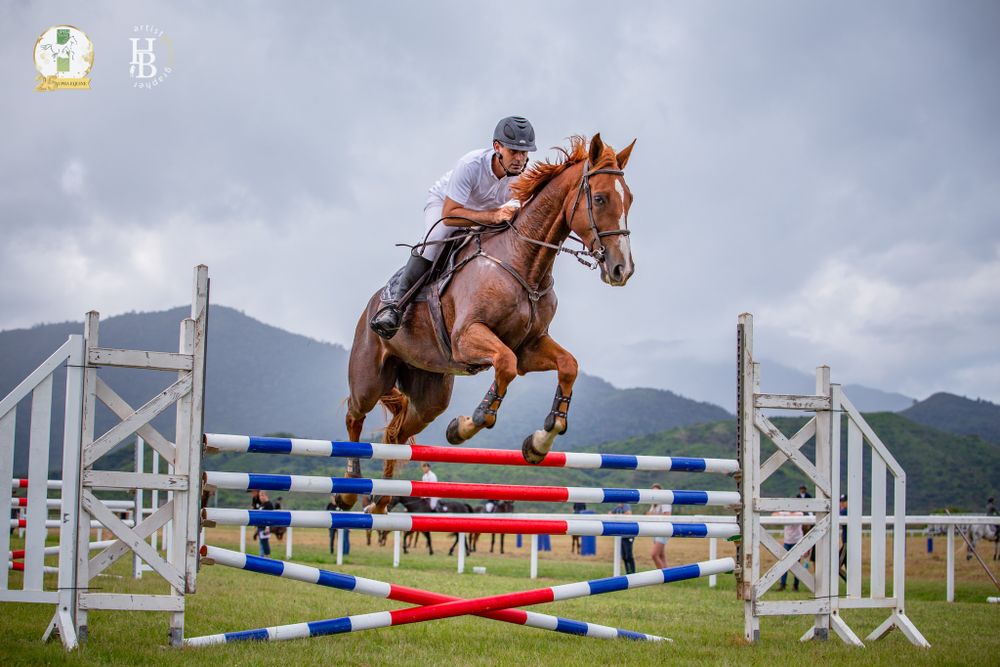 A chestnut horse and rider clearing a red white and blue show jumping fence against a mountain backdrop.