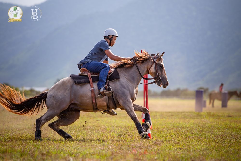 A rider in blue helmet and attire gallops on horseback across a grassy field with mountains in the background.
