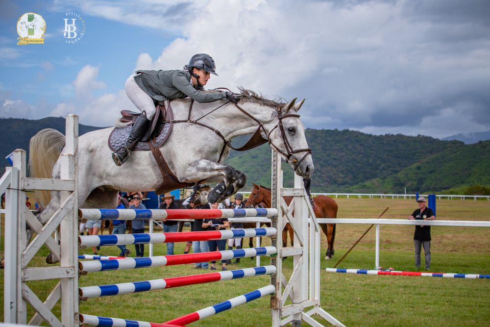 A gray horse and rider clearing a colorful show jumping obstacle at an outdoor equestrian competition.