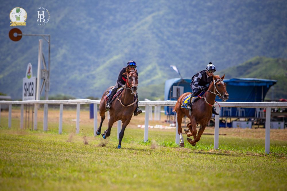 Two jockeys racing thoroughbred horses side by side on a grass racetrack with mountains in the background.