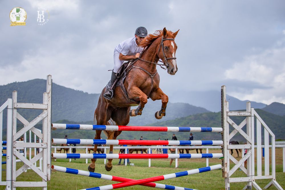 Equestrian rider and chestnut horse leaping over red and blue striped show jumping poles with mountains in background.