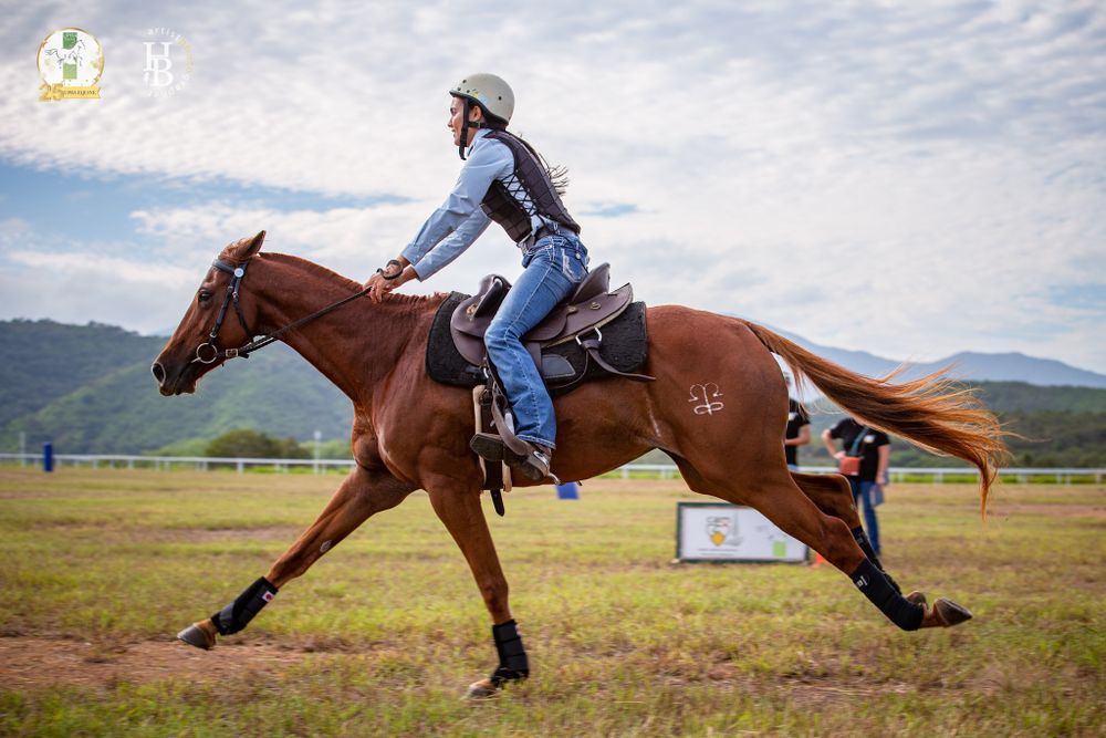 Rider wearing blue denim and helmet canters on chestnut horse across open field with mountains in background.