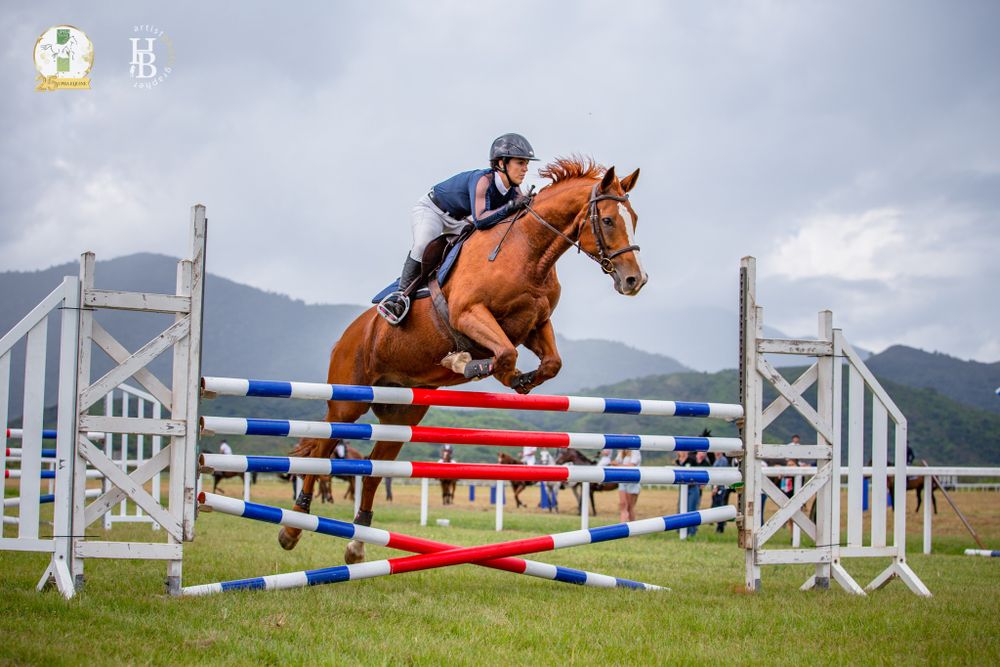 A chestnut horse and rider jump over a red and blue striped show jumping obstacle with mountains in the background.