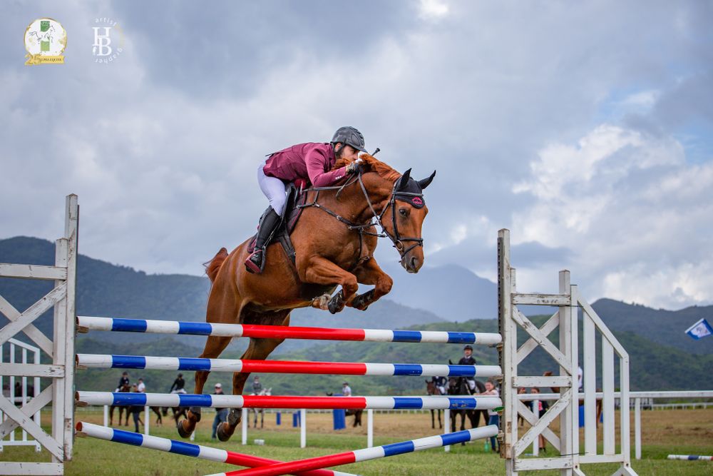 A horse and rider clear a vibrant red jump rail during an equestrian show jumping competition against a cloudy sky.