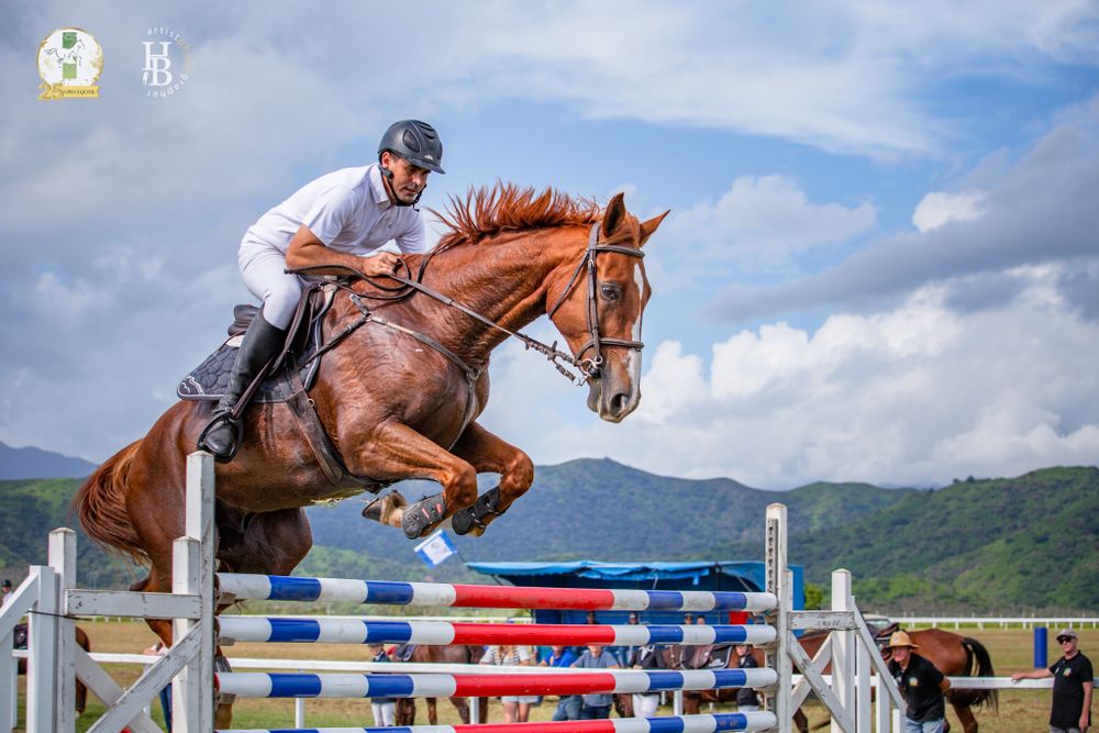 Chestnut horse and rider leap over colorful show jumping obstacle against mountainous landscape and blue sky.