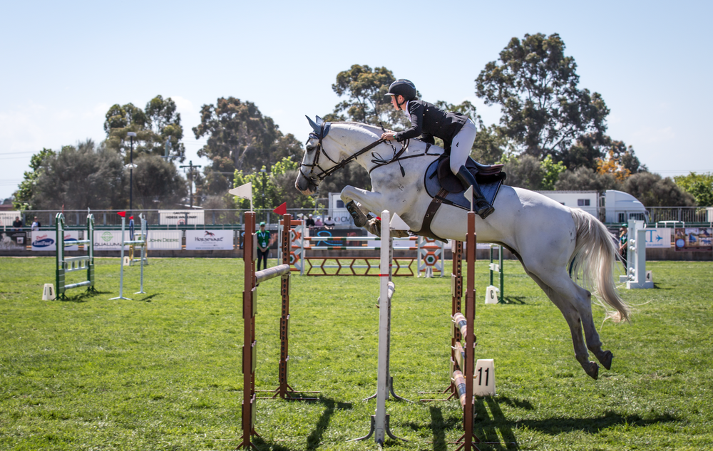 White horse and rider leap over show jumping obstacle on green grass course.