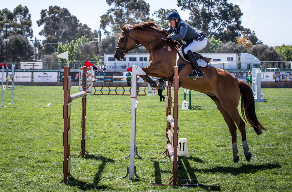 Horse and rider clear a high jump during equestrian show jumping competition.