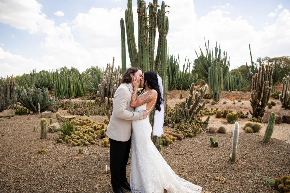 Wedding couple embraces in desert garden surrounded by tall cactus plants.