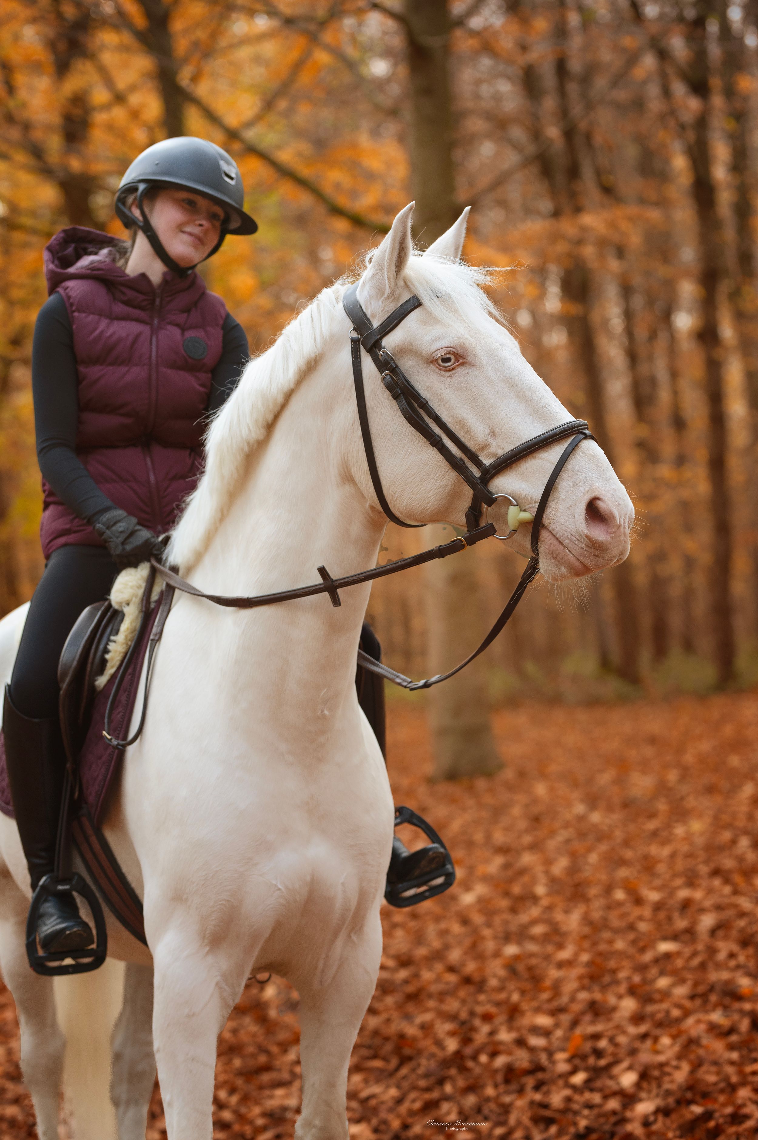 White horse with rider walking along forest trail covered in vibrant autumn foliage.