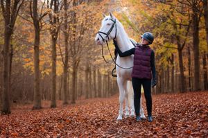 Horse and rider walking through scenic fall forest with orange leaves covering the ground.