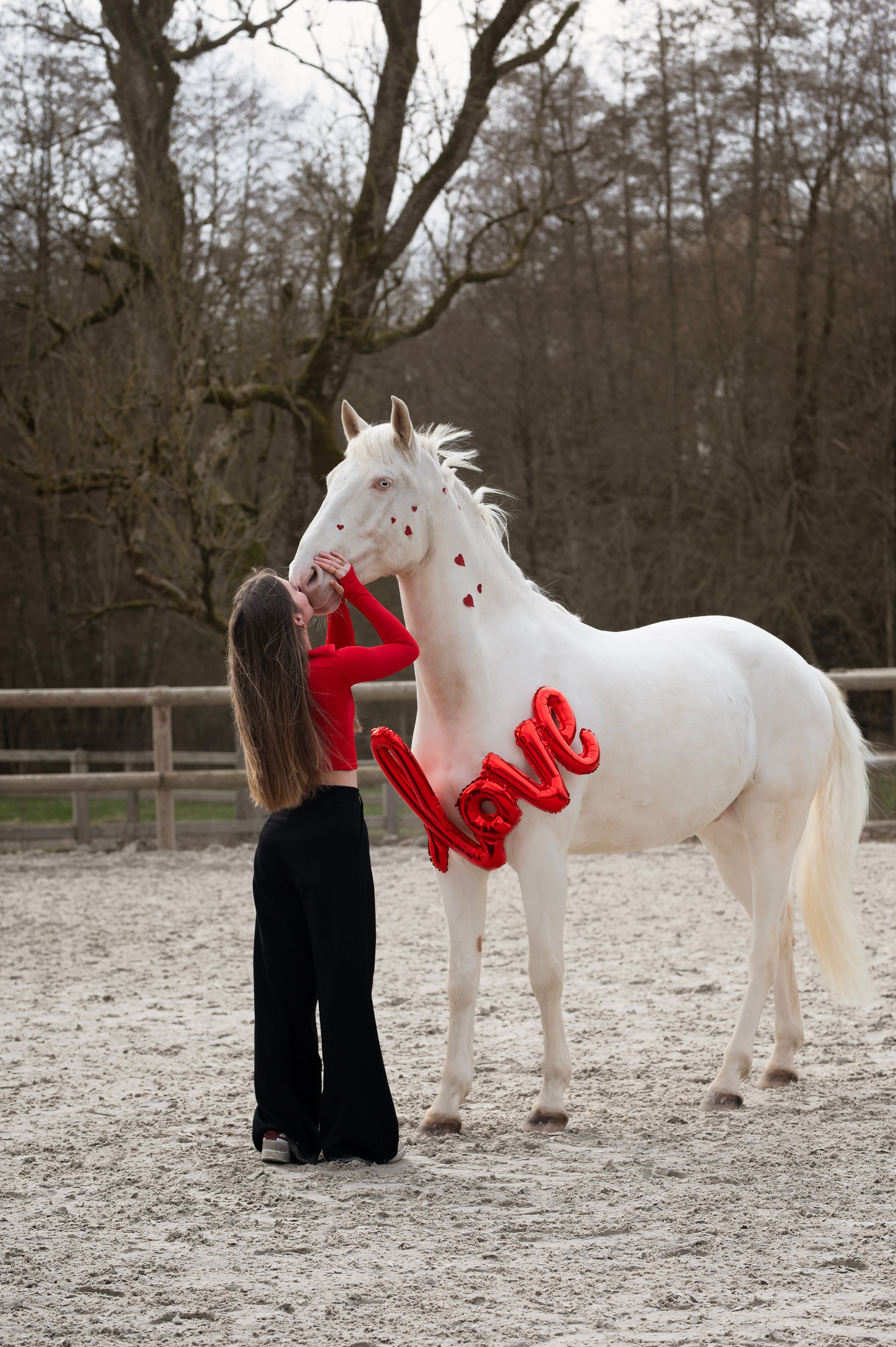 A sequence of photos showing a white horse with red love heart decorations in a winter paddock.