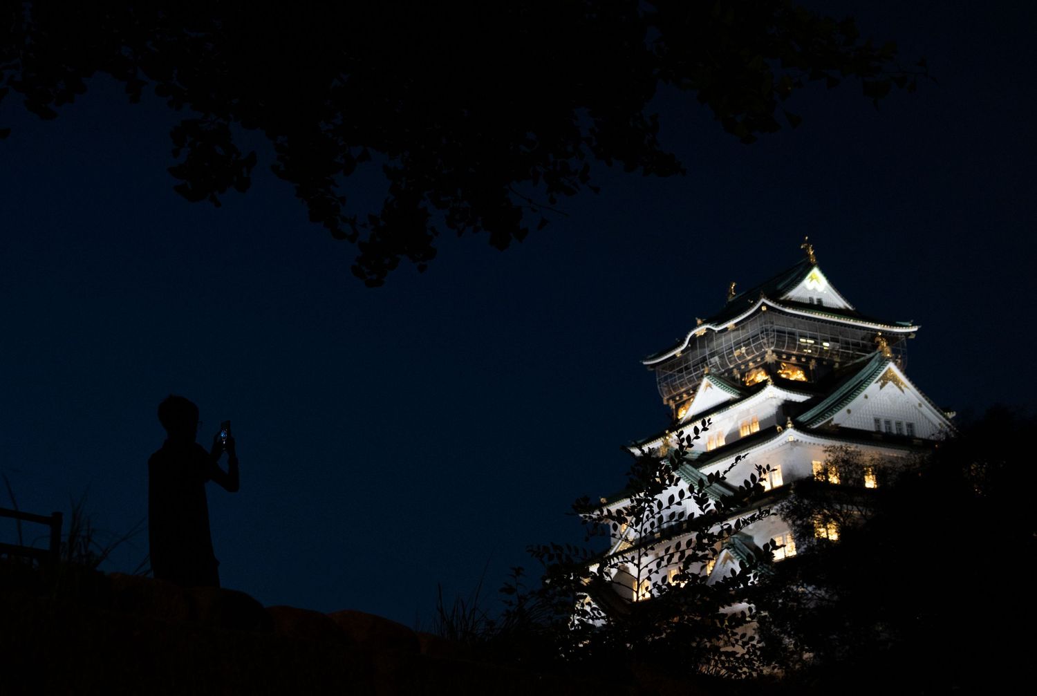 Traditional Japanese castle illuminated at night against dark sky with tree silhouettes.