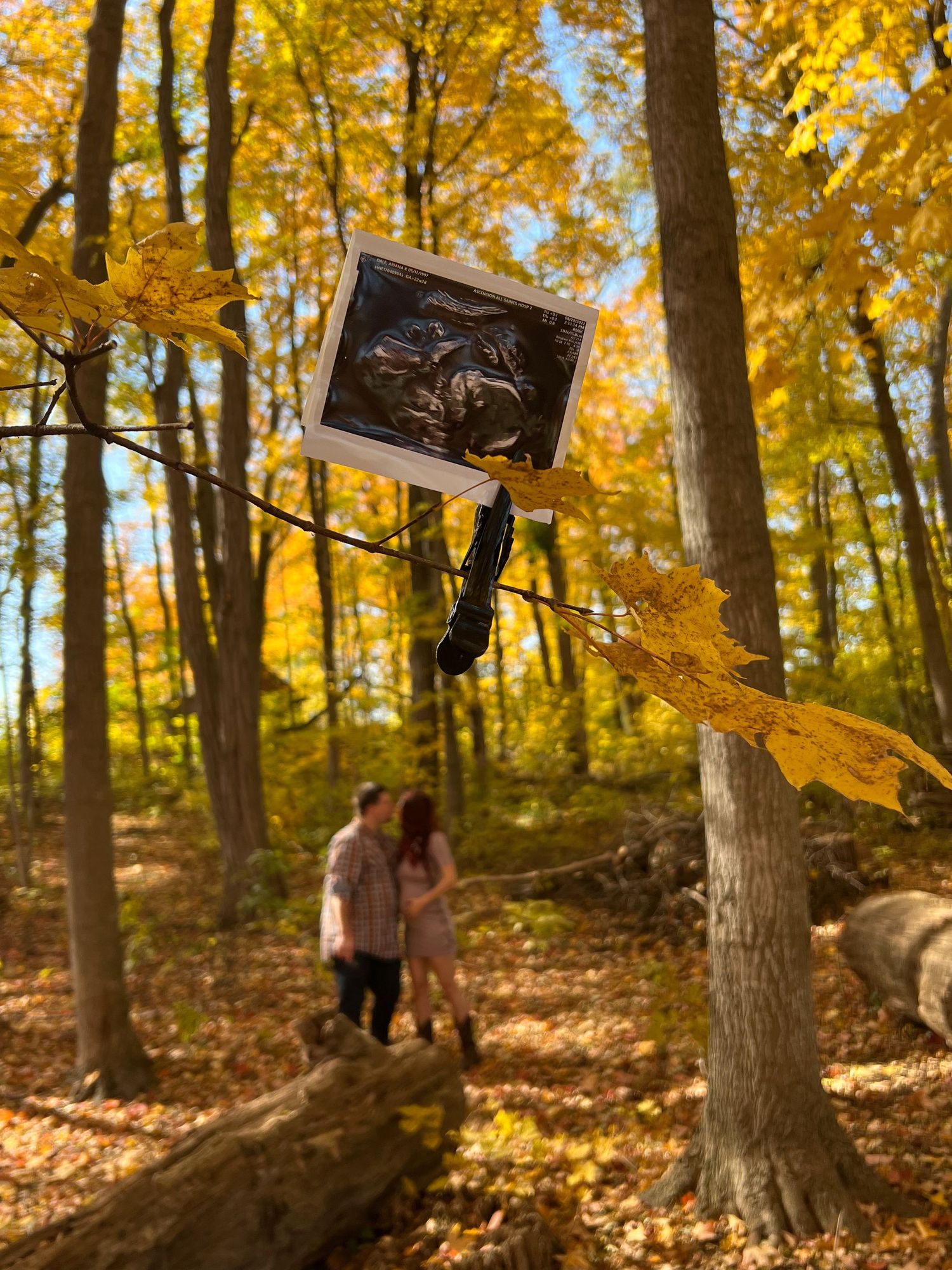 An ultrasound photo displayed in fall foliage with golden trees in the background.